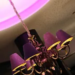 De L'univers Liège